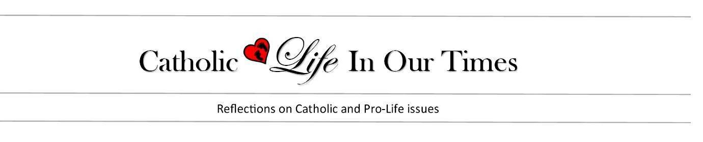 Designs by Birgit - Catholic Life In Our Times 